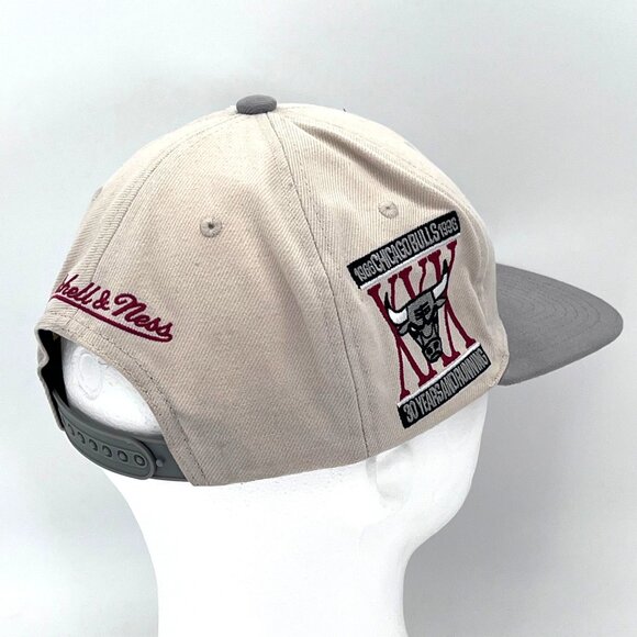 Mitchell & Ness Chicago Bulls 30th Anniversary Cap Hat Adjustable Snapback 1996 - Picture 8 of 16